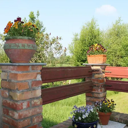 In Mit Terrasse Feriehus Steffenshagen